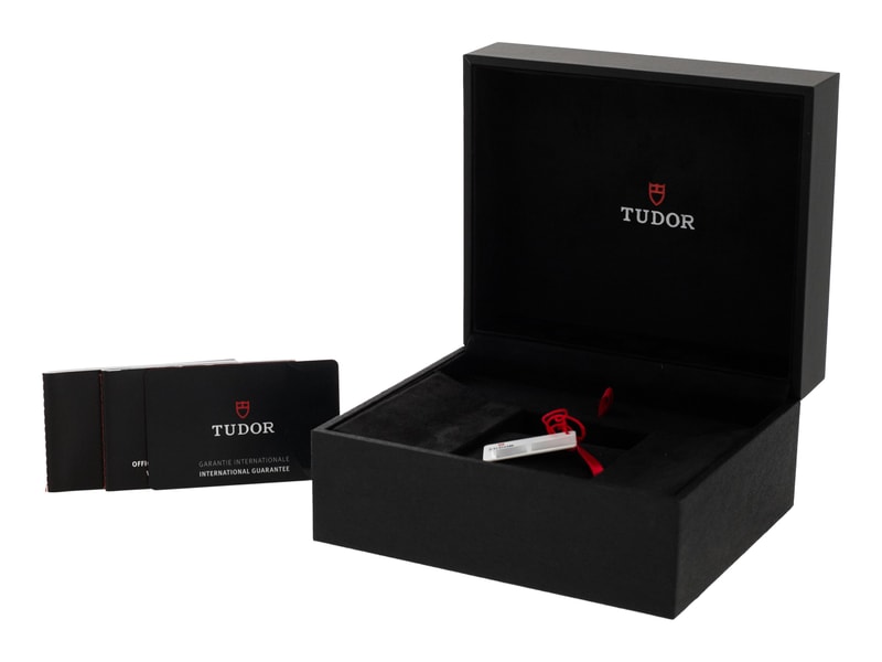Tudor Black Bay 58 M79010SG-0001